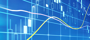 ストックオプション評価計算